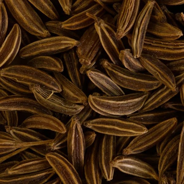 Caraway shown for crop identification