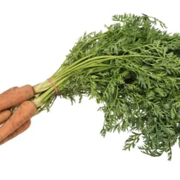 Carrot crop