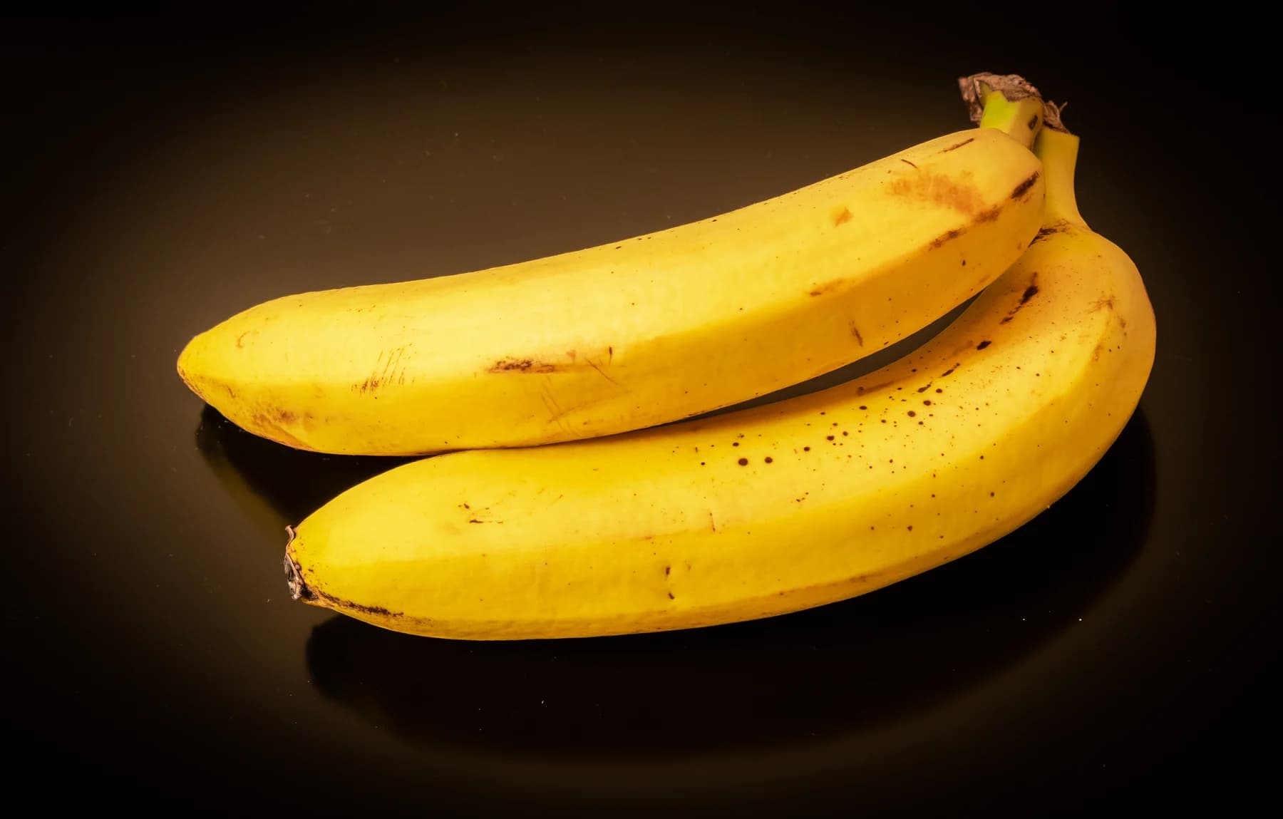 Two ripe yellow Cavendish bananas on a dark background