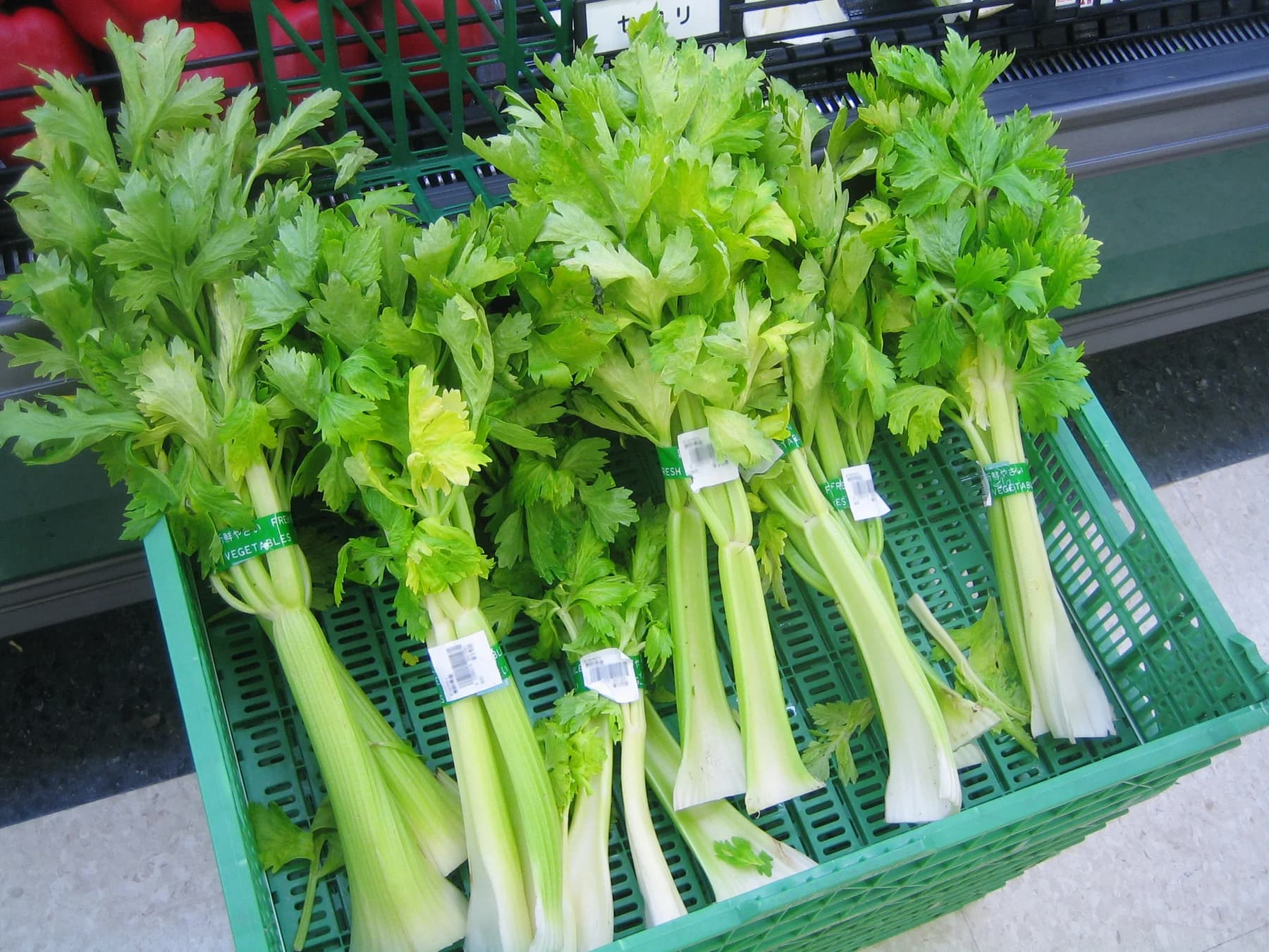 Harvested celery bunches with leafy tops arranged in a produce crate