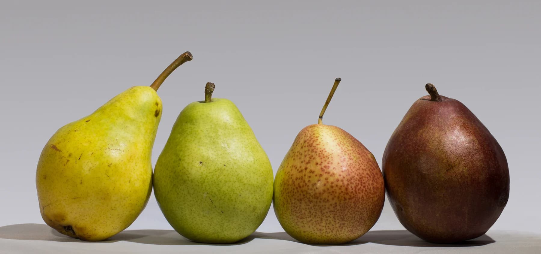 Green Bartlett, Anjou, Forelle and red Bartlett pears arranged side by side