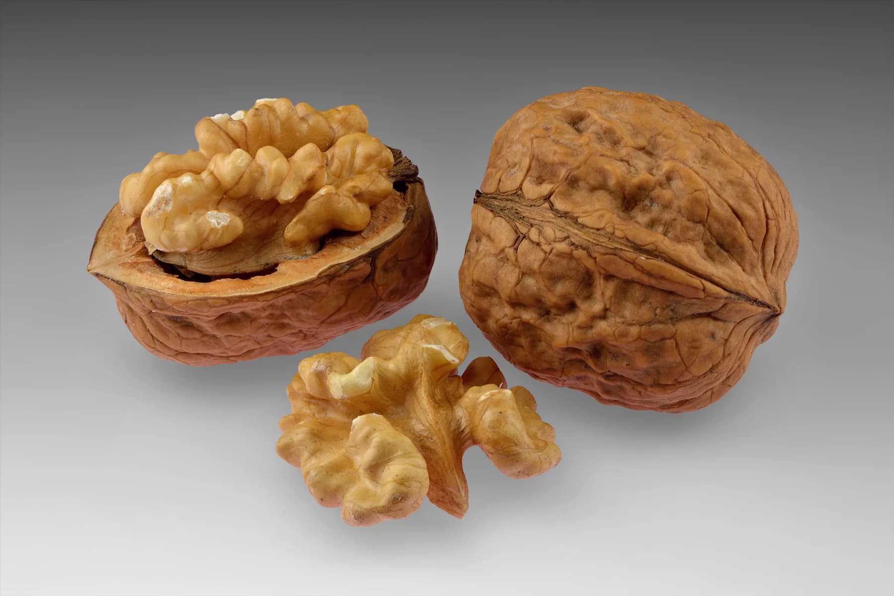 Whole walnut, an opened shell with its kernel and a separate kernel half